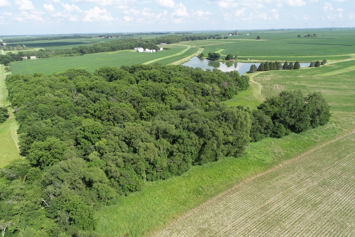 Image for John & Betty Perring Farm Auction