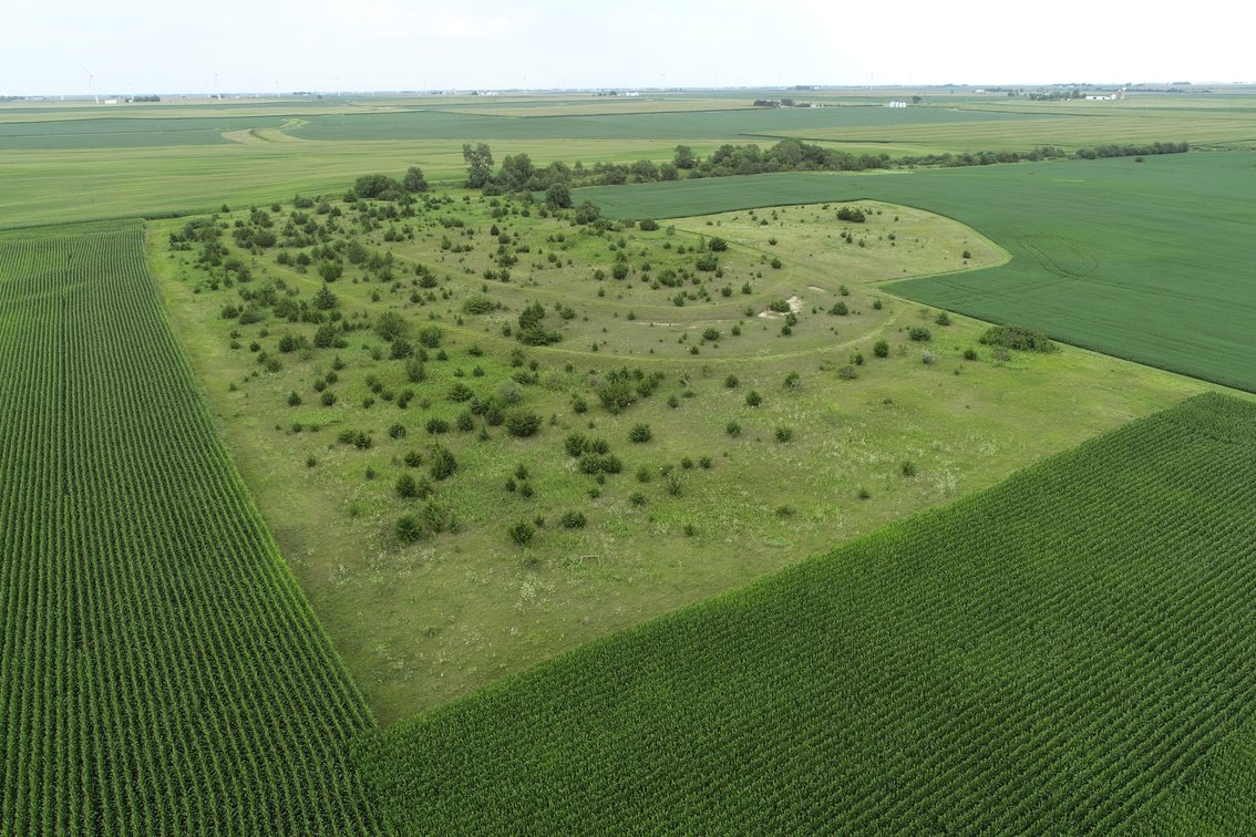 Image for Stout Farm