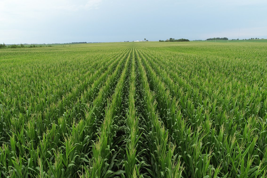 Image for Stout Farm