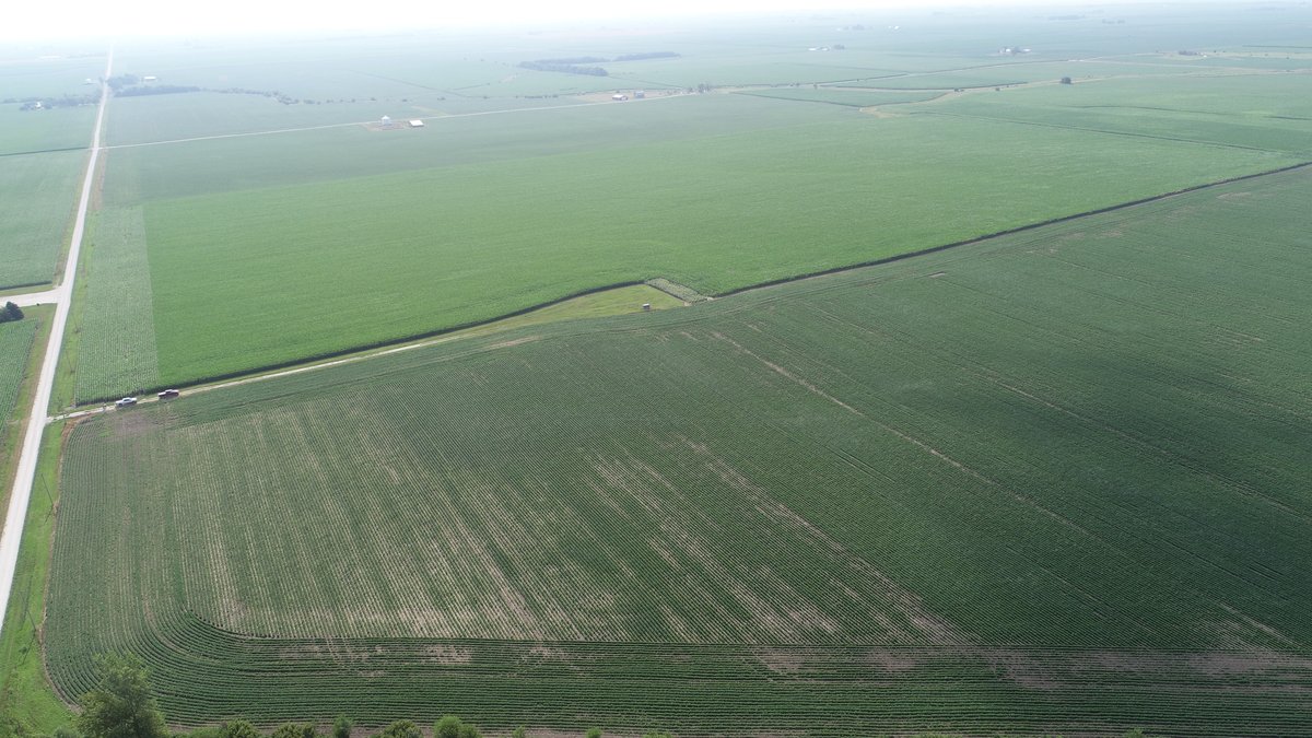 Image for Wyllie Farm Cash Rent Auction