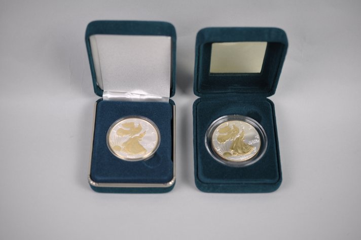 American Silver Eagle Colorized