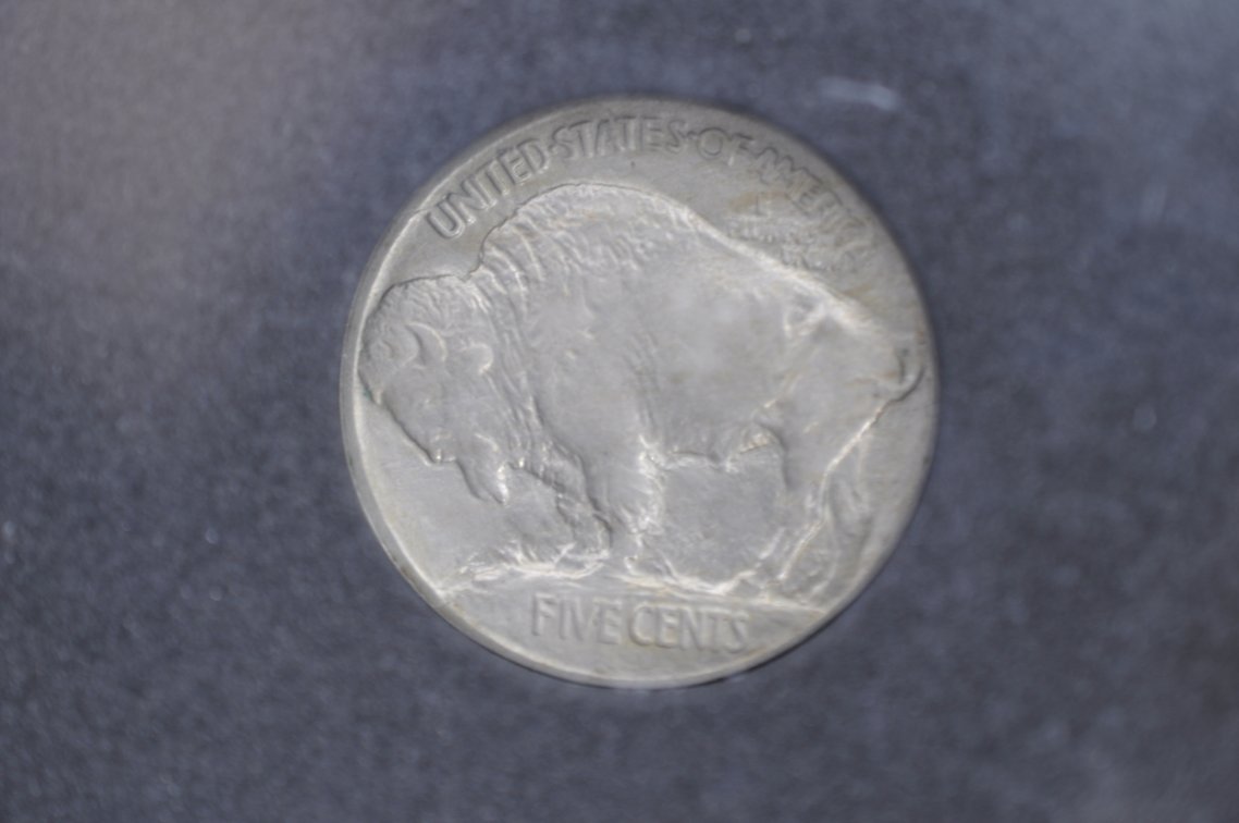 1913 Type One Buffalo Nickel Slabbed, photo 4 of 4