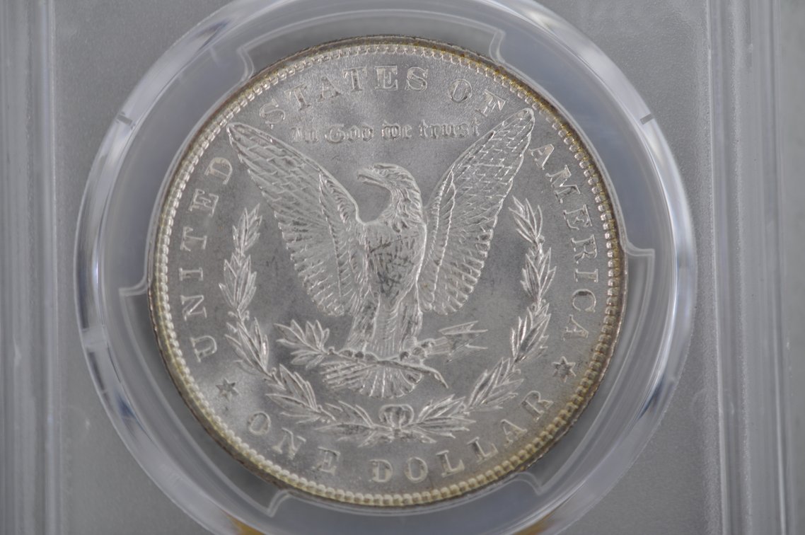 PCGS Graded Morgan Silver Dollars, photo 6 of 6