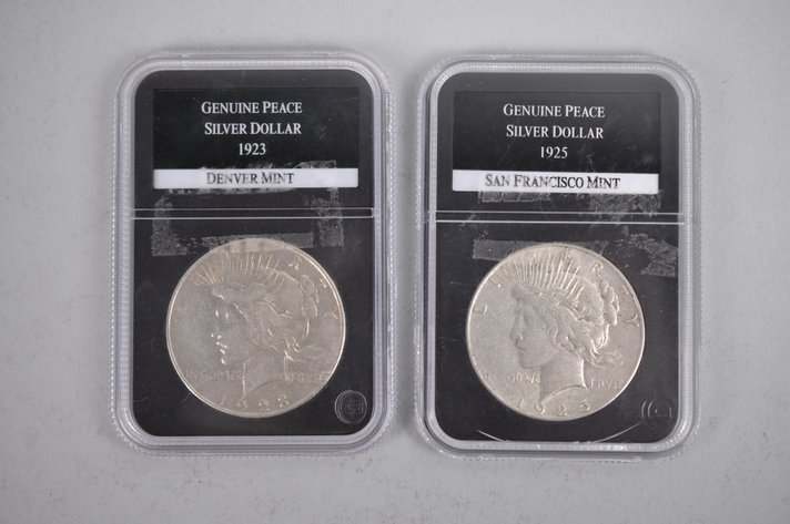 Silver Peace Dollars Slabbed-PCS