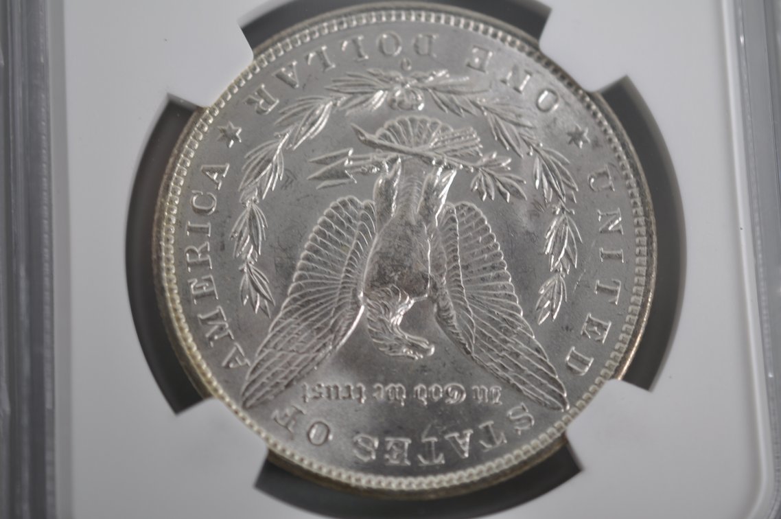 NGC Graded Slabbed Morgan Silver Dollars, photo 4 of 8