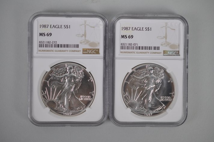 American Silver Eagles Graded MS69