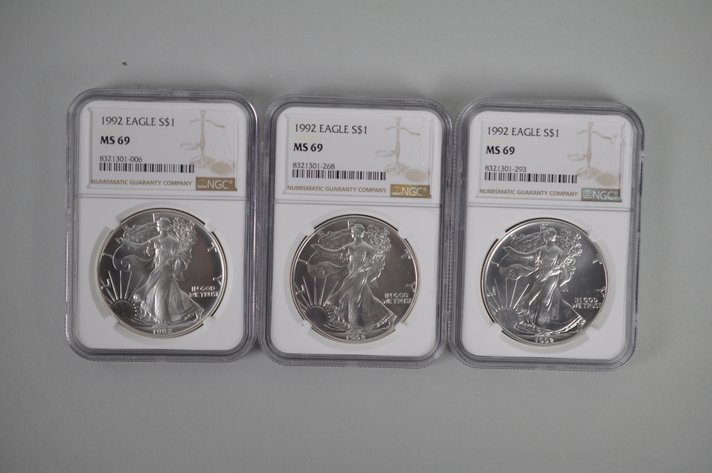 American Silver Eagles Graded MS69