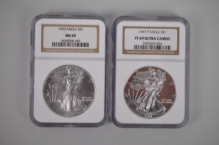 American Silver Eagles Graded