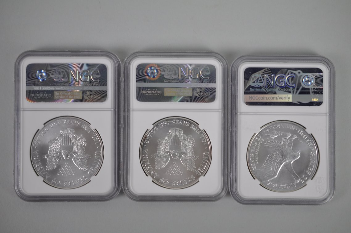 American Silver Eagles Graded, photo 2 of 8