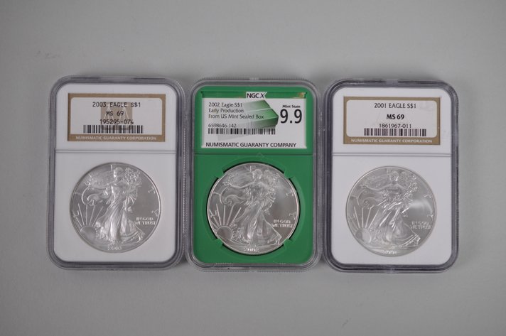 American Silver Eagles Graded