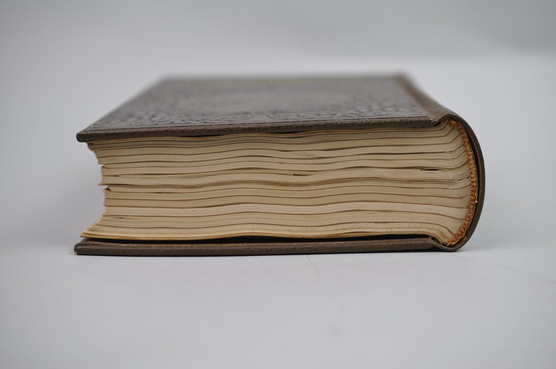 Vol. 10 National Geographic 1899 Brown Leather Bound, photo 5 of 5