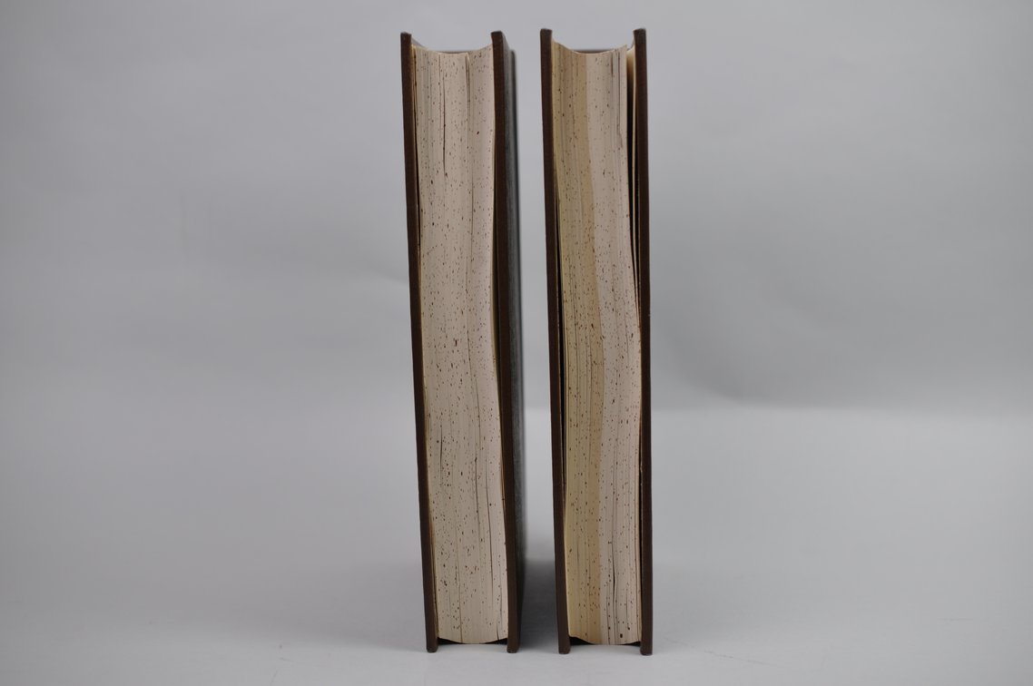 Vol. 21 Pt.1&2 National Geographic 1910 Brown Leather Bound, photo 4 of 5