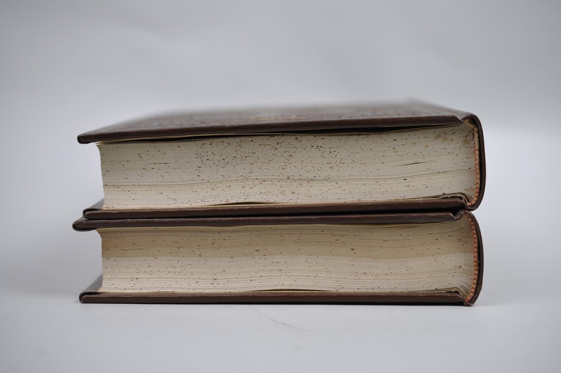 Vol. 21 Pt.1&2 National Geographic 1910 Brown Leather Bound, photo 5 of 5