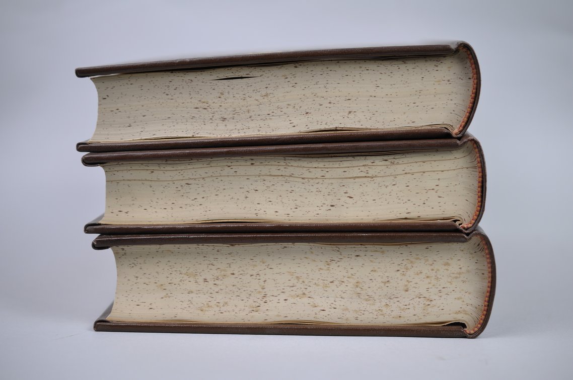 Vol. 31-36 National Geographic 1917-1919 Brown Leather Bound, photo 7 of 11