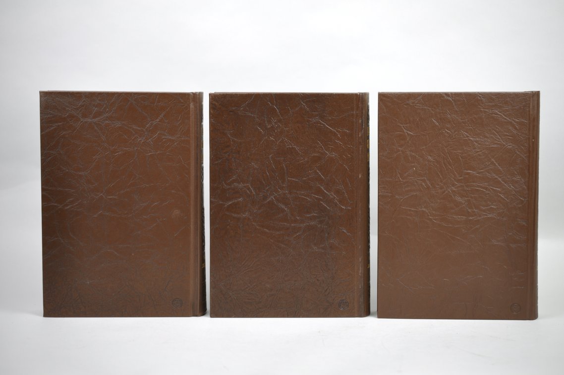 Vol. 25-30 National Geographic 1914-1916 Brown Leather Bound, photo 10 of 11