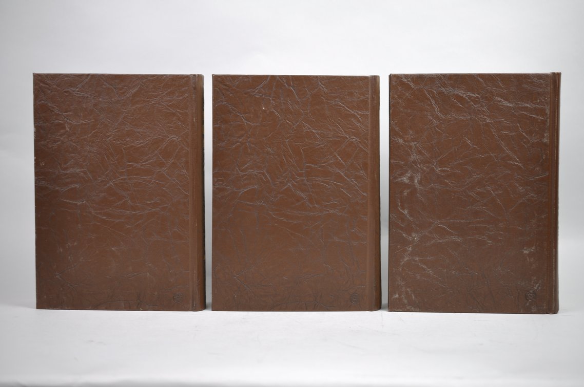 Vol. 55-60 National Geographic 1929-1931 Brown Leather Bound, photo 10 of 11