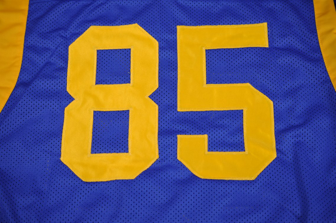Youngblood & Hornung Signed Football Jerseys, photo 12 of 16