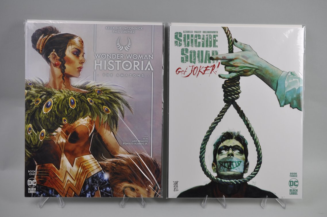 Gotham, Suicide Squad, and Wonder Woman Sets, photo 7 of 8
