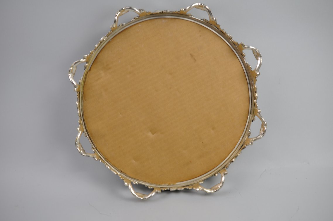 Silver Plated Collection, photo 98 of 246