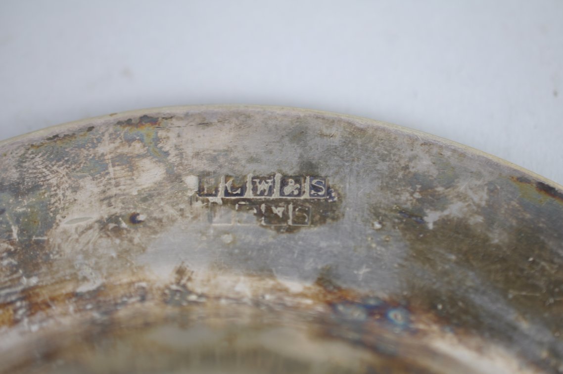 Silver Plated Collection, photo 127 of 246