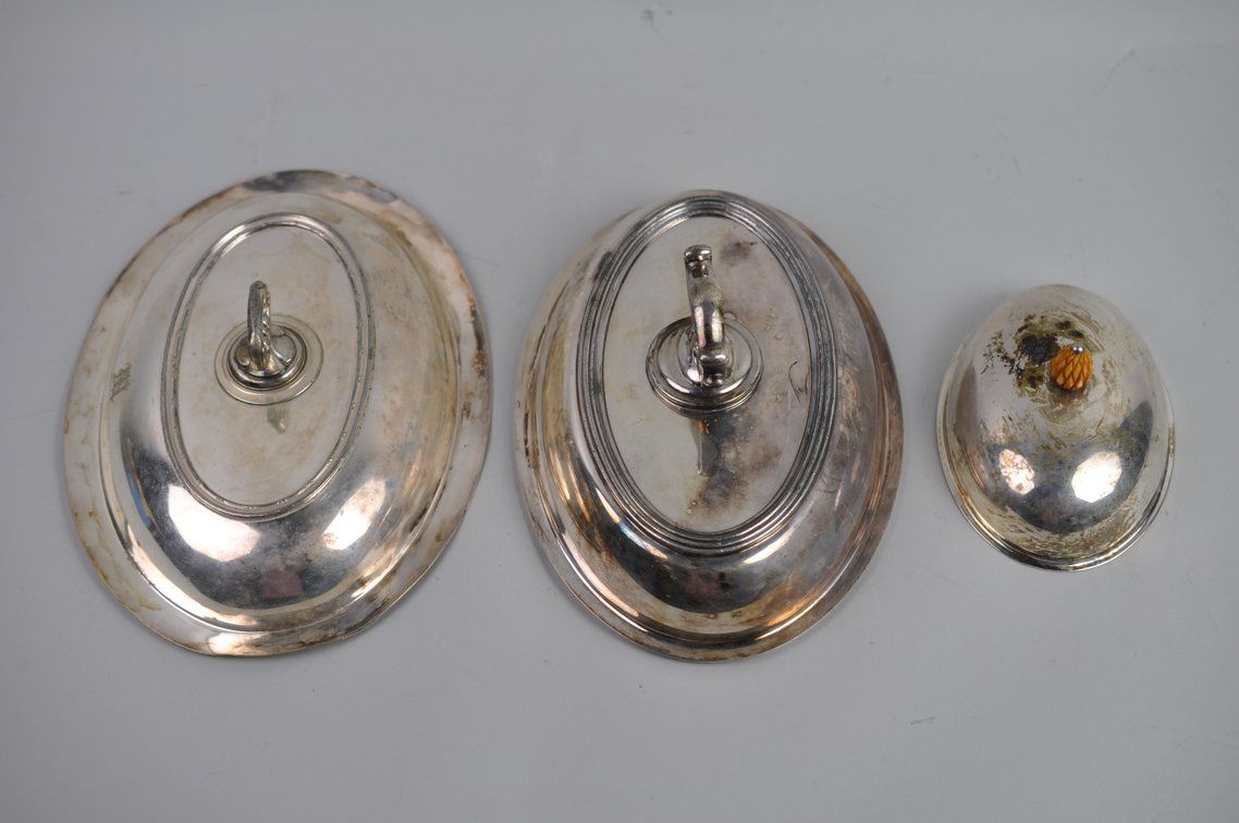 Silver Plated Collection, photo 133 of 246