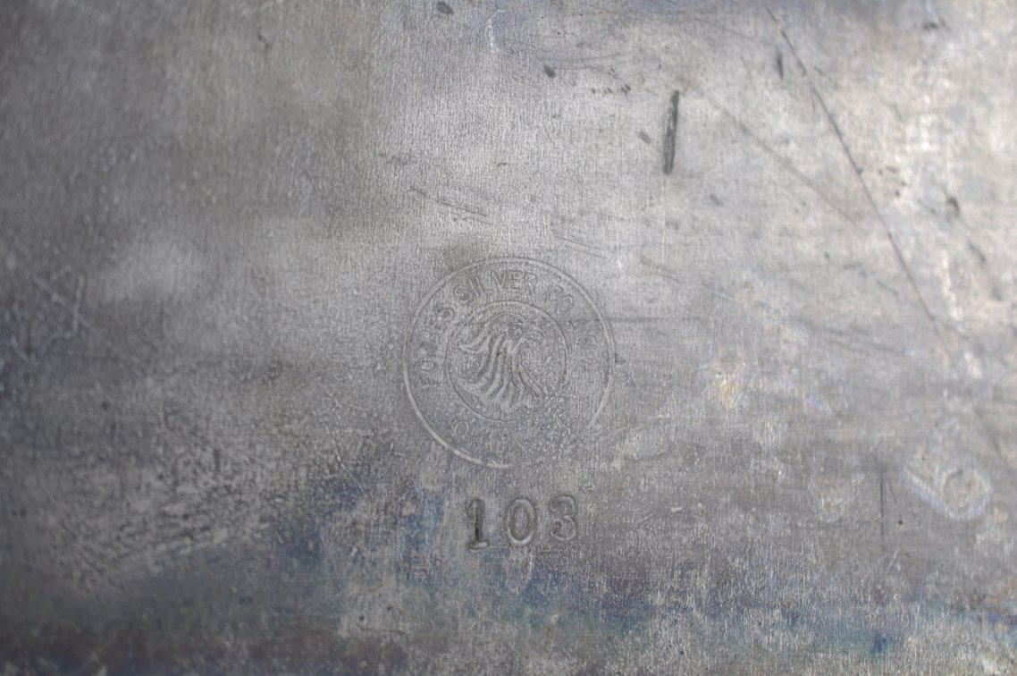 Silver Plated Collection, photo 77 of 246