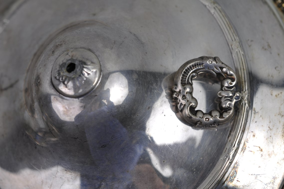 Silver Plated Collection, photo 190 of 246