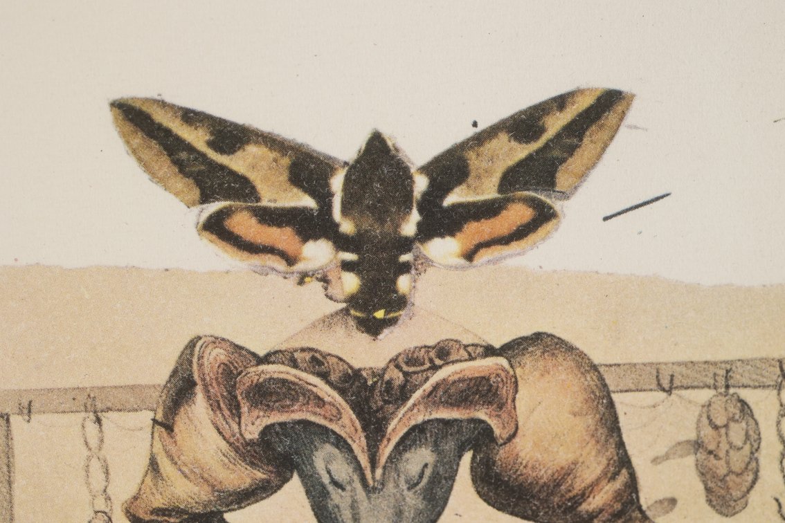 Salvador Dali, Surrealist Gastronomy, photo 10 of 12