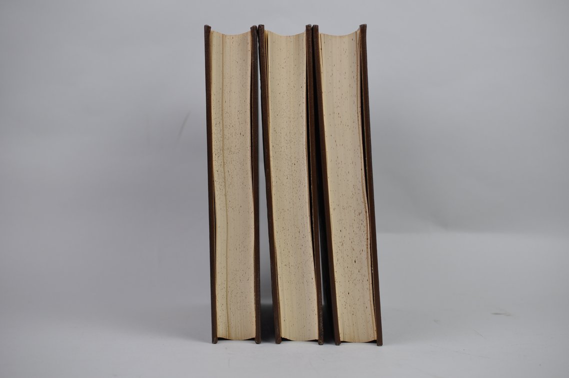Vol. 31-36 National Geographic 1917-1919 Brown Leather Bound, photo 9 of 11