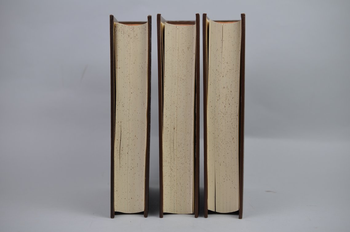 Vol. 43-47 National Geographic 1923-1925 Brown Leather Bound, photo 9 of 11