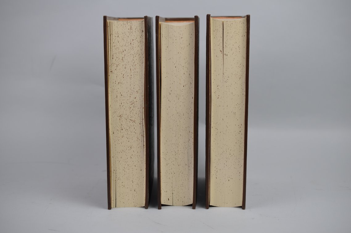 Vol. 55-60 National Geographic 1929-1931 Brown Leather Bound, photo 9 of 11