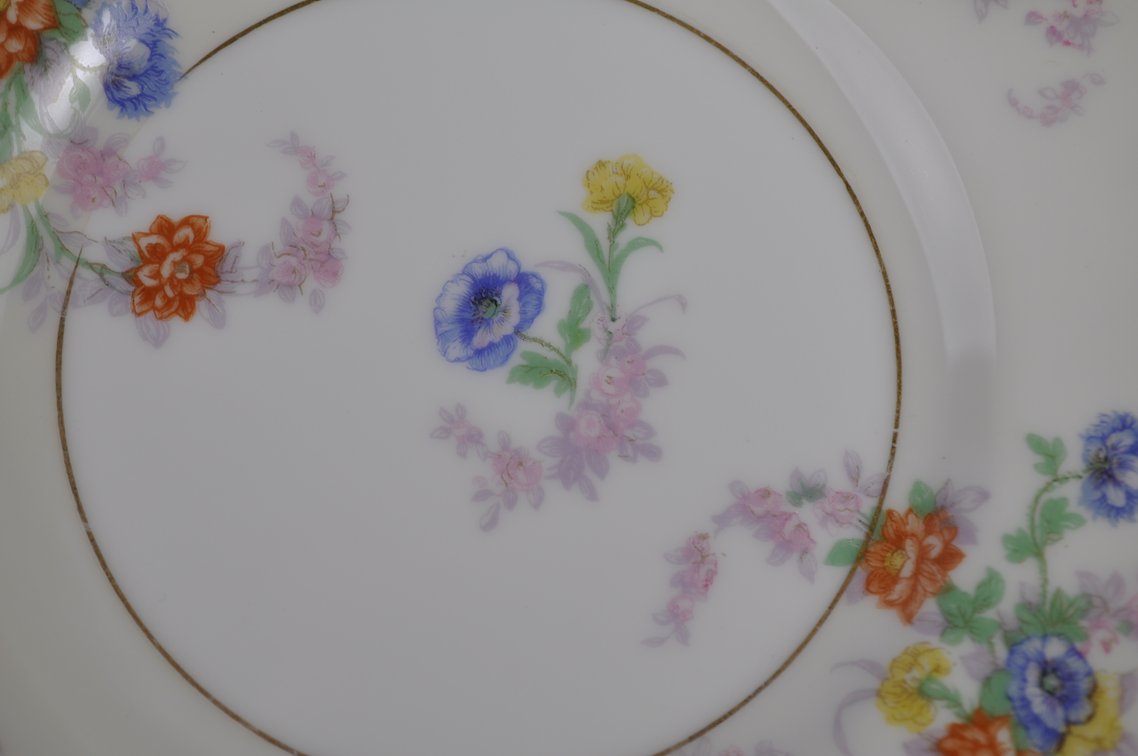 Theodore Haviland Limoges France Orleans Dishware, photo 17 of 54
