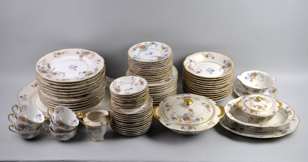 Theodore Haviland Limoges France Orleans Dishware