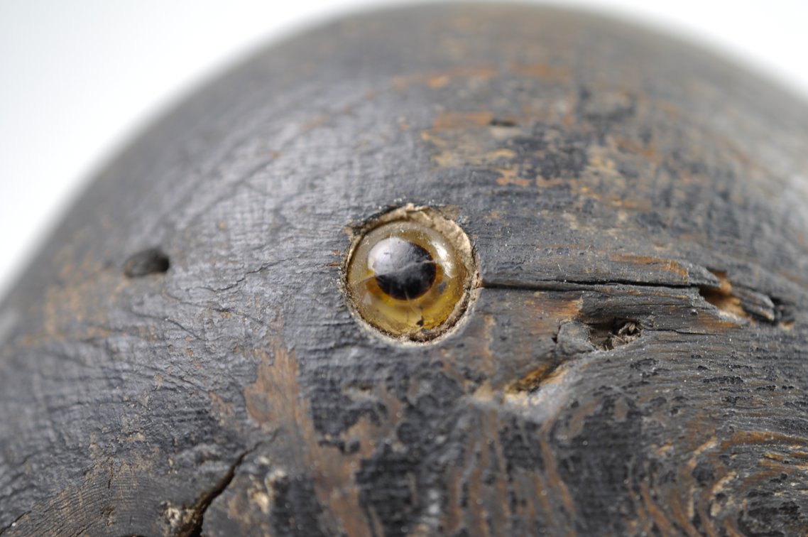 Bluebill Drake Duck Decoy w/ Glass Eye, photo 11 of 14