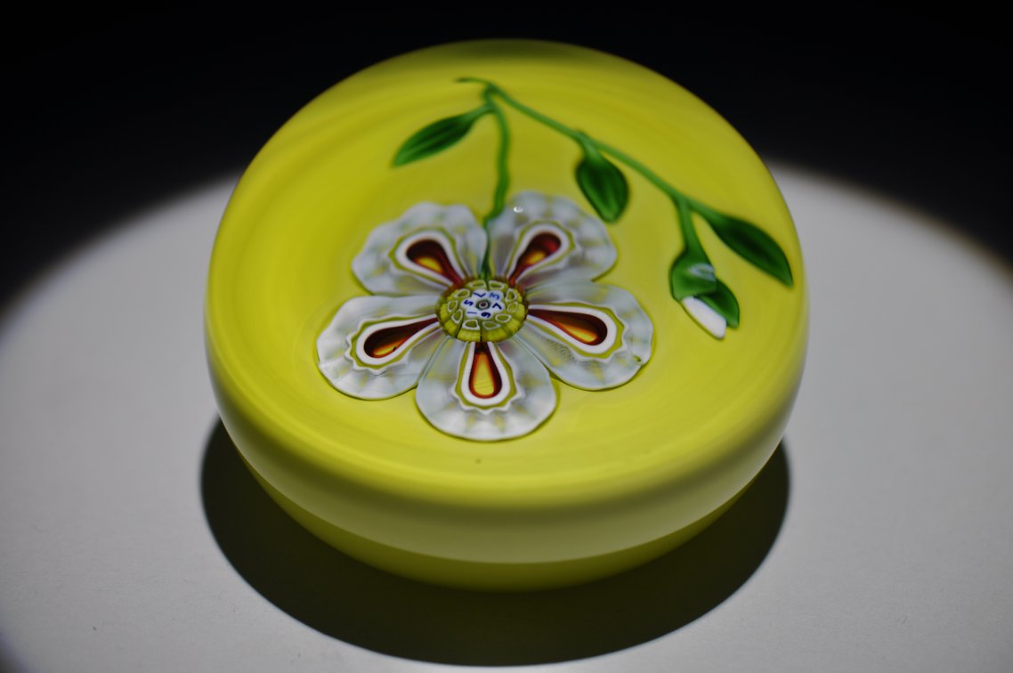 St. Louis 1973 Floral Weight