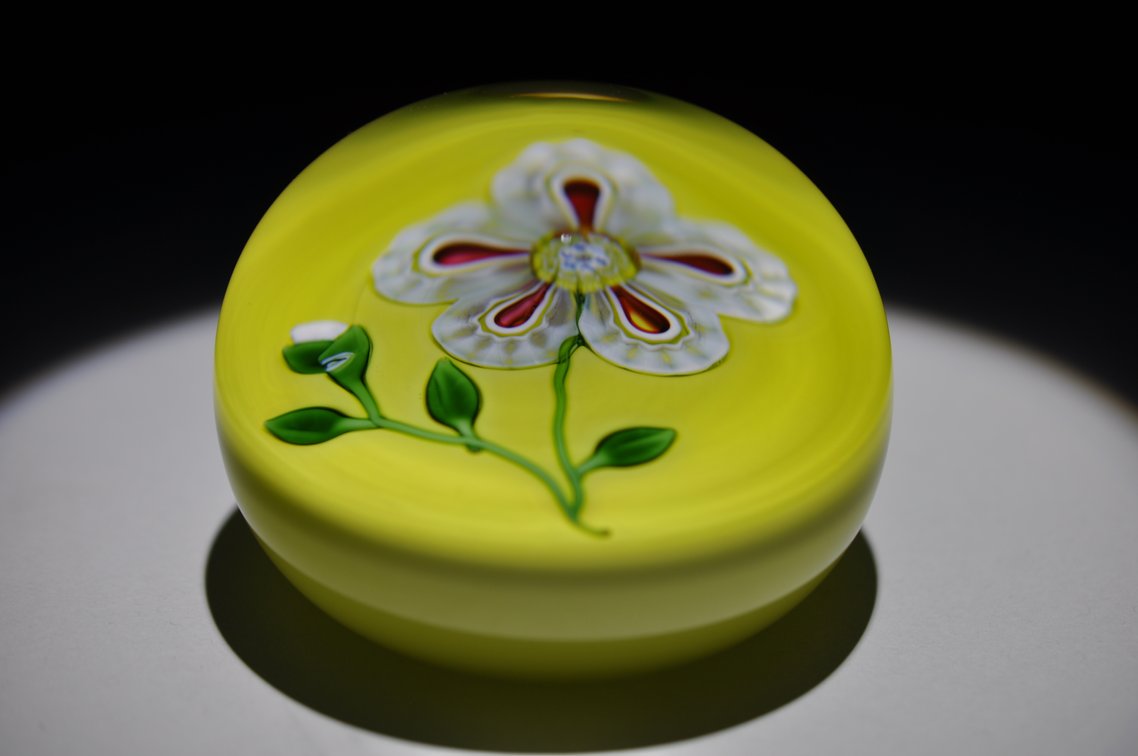 St. Louis 1973 Floral Weight