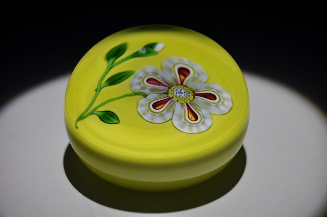 St. Louis 1973 Floral Weight