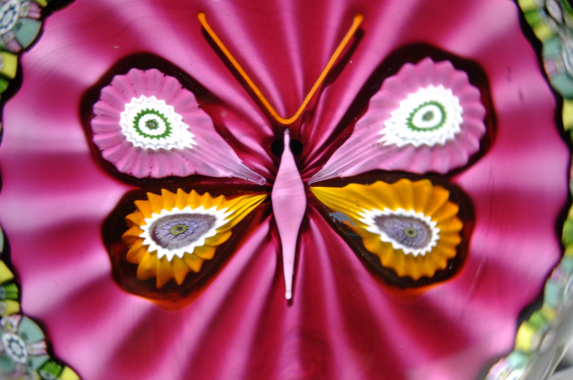 Perthshire 1975 Butterfly Paperweight
