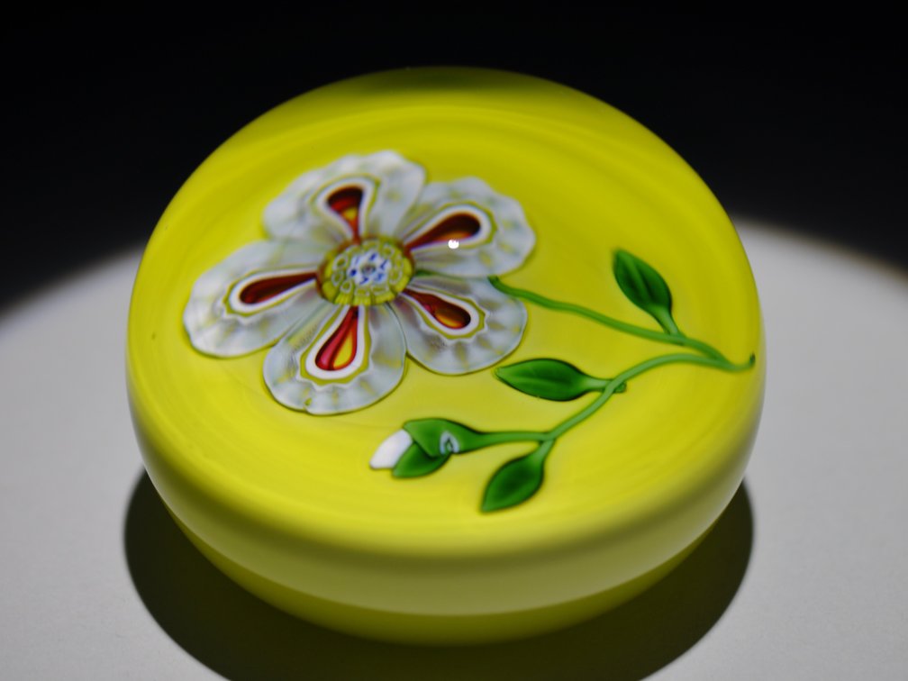 St. Louis 1973 Floral Weight