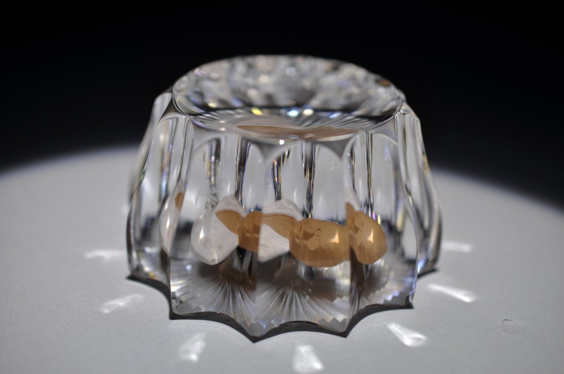 Cristal d'Albret Gandhi Cameo Paperweight