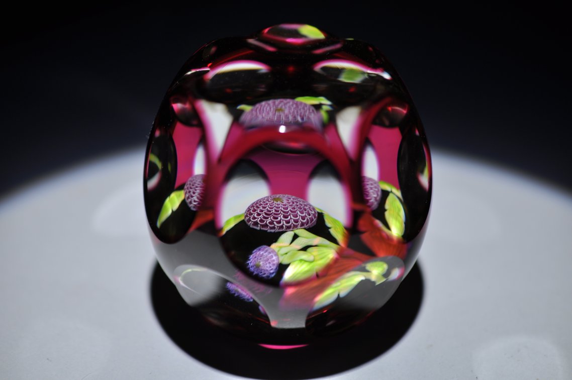 Perthshire 1982 Dhalia Pompom
