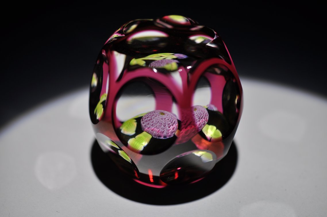 Perthshire 1982 Dhalia Pompom