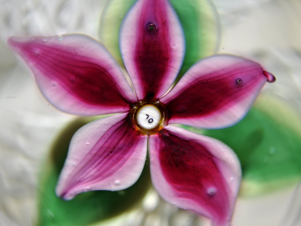 Strathearn 1970 Pink Floral Weight