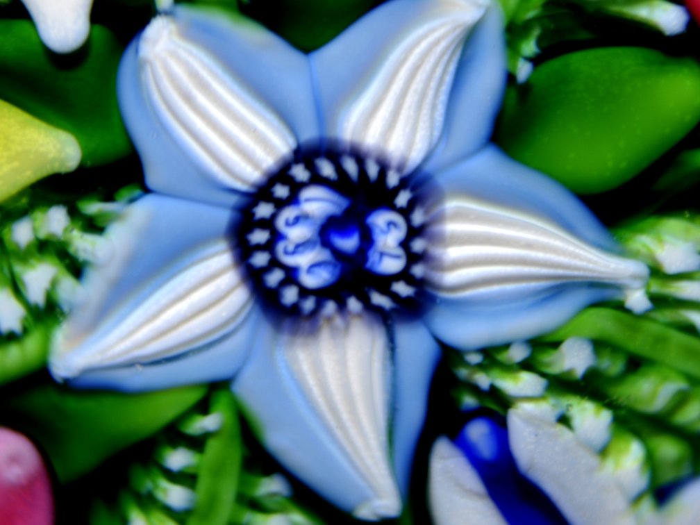 St Louis 1996 Anthemis Paperweight