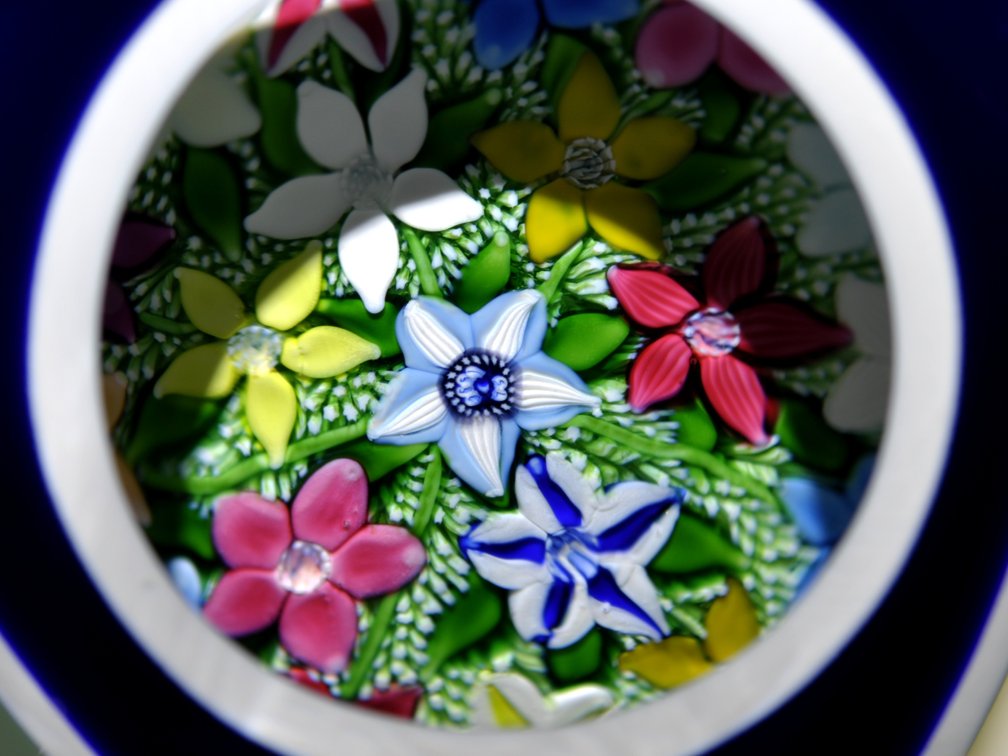 St Louis 1996 Anthemis Paperweight