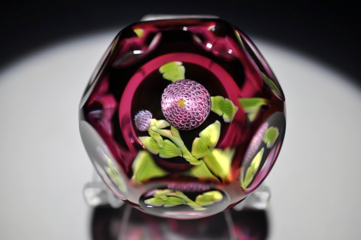 Perthshire 1982 Dhalia Pompom