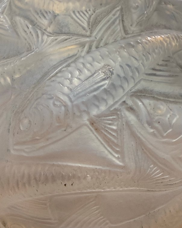 R. Lalique Signed Oleron Vase, photo 11 of 11