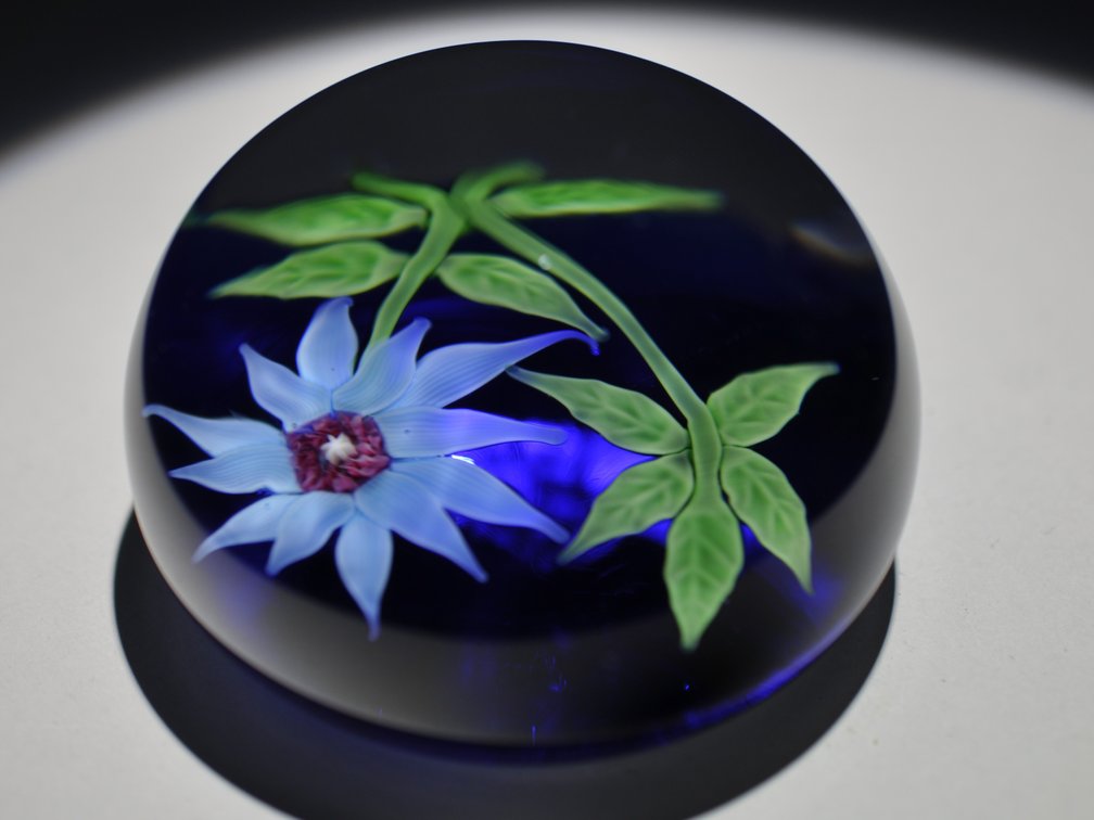 Baccarat 1970 Blue Floral Weight