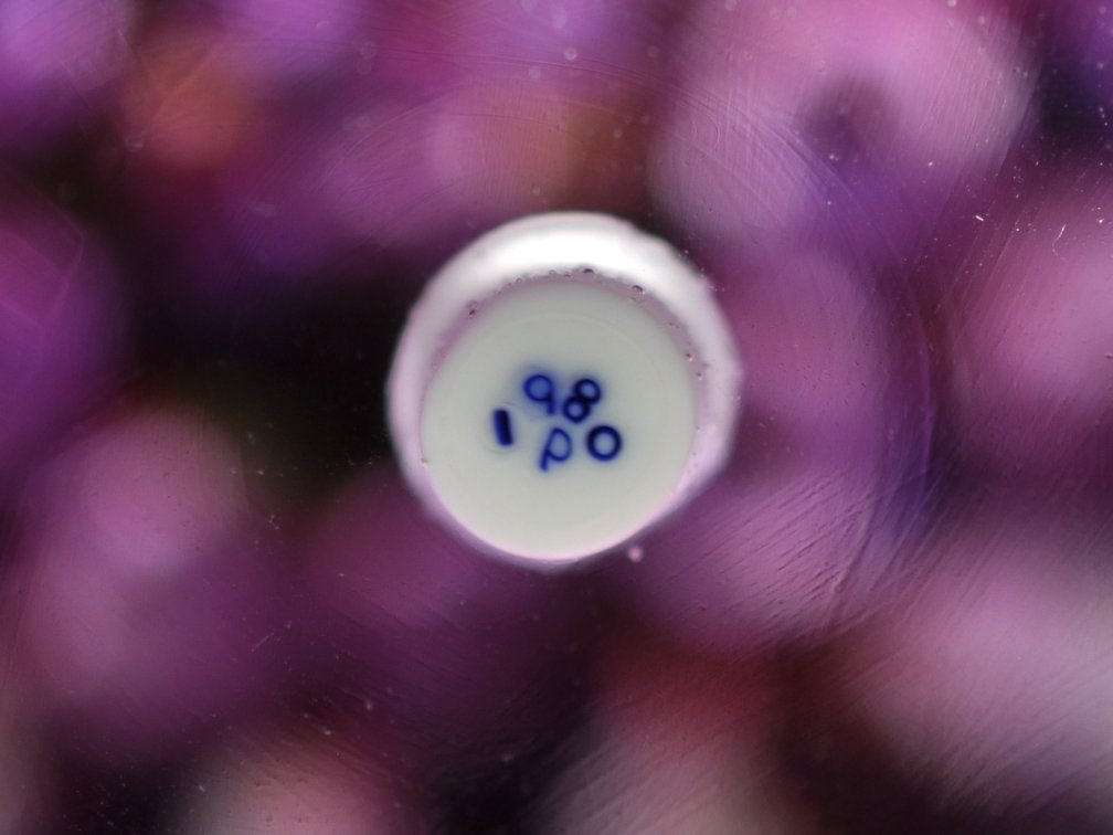 Perthshire 1980 Millefiori P41 Starburst