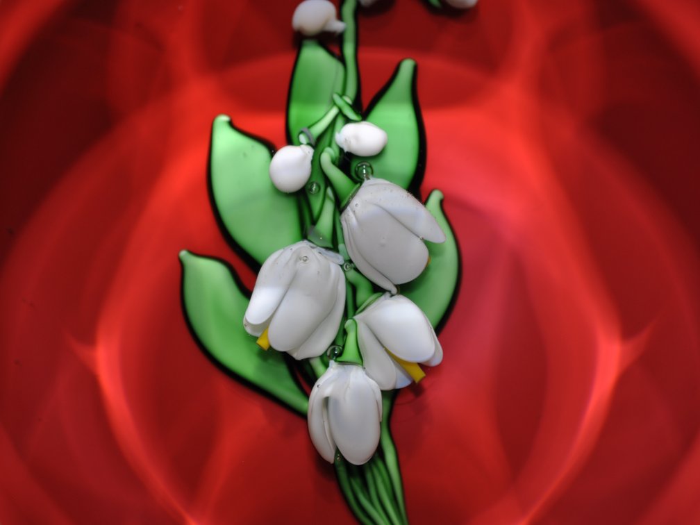 St. Louis 1982 Lily of the Valley